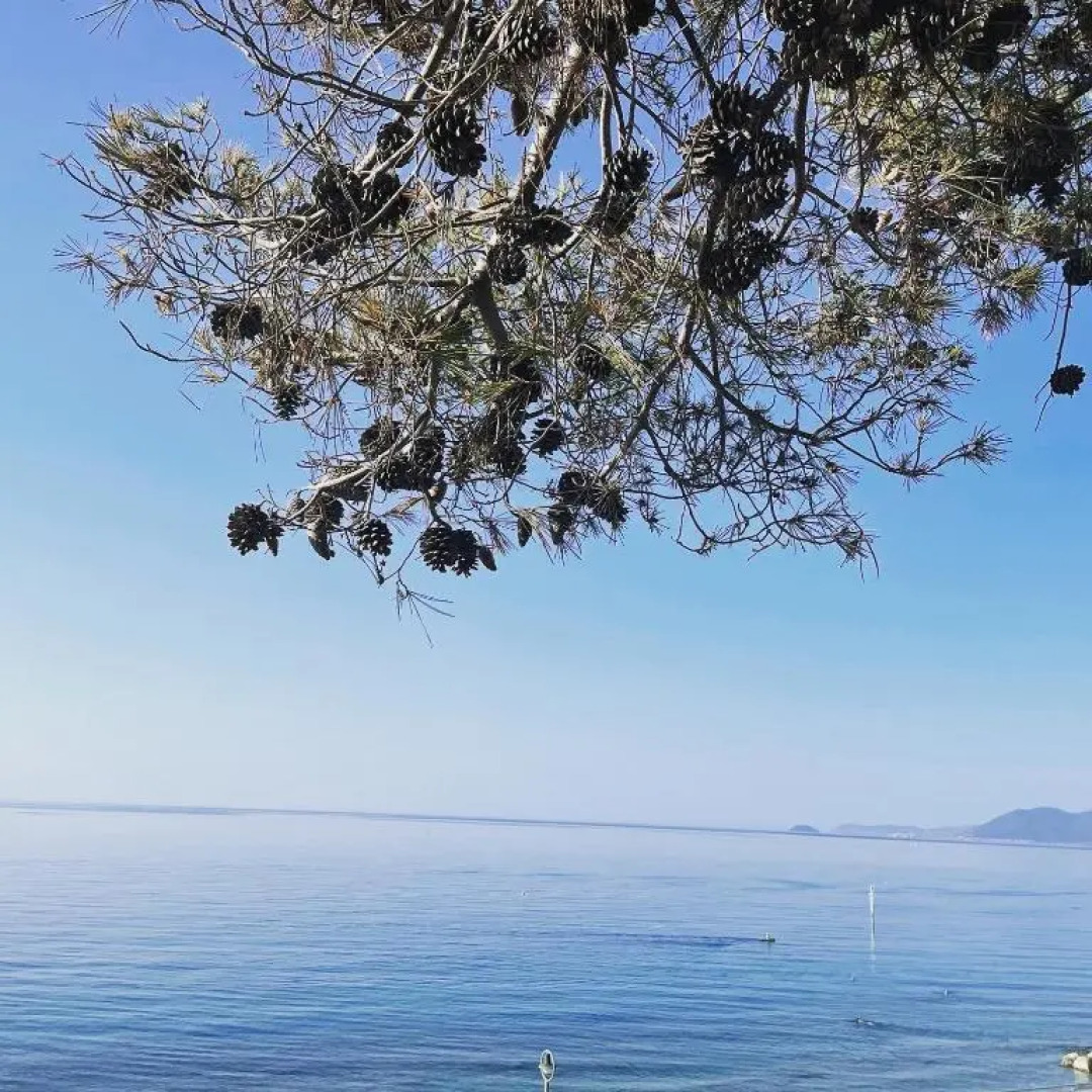 Villino Saraceno Rostain