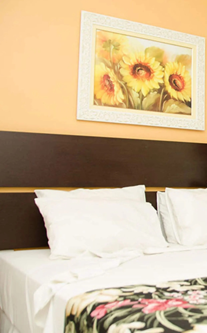 Hotel do Sol Executive