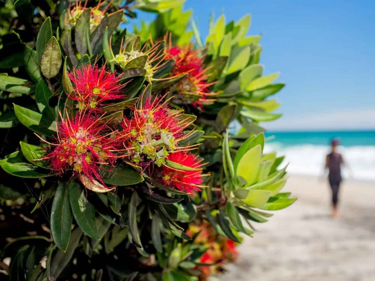 Tasman Holiday Parks – Beachaven