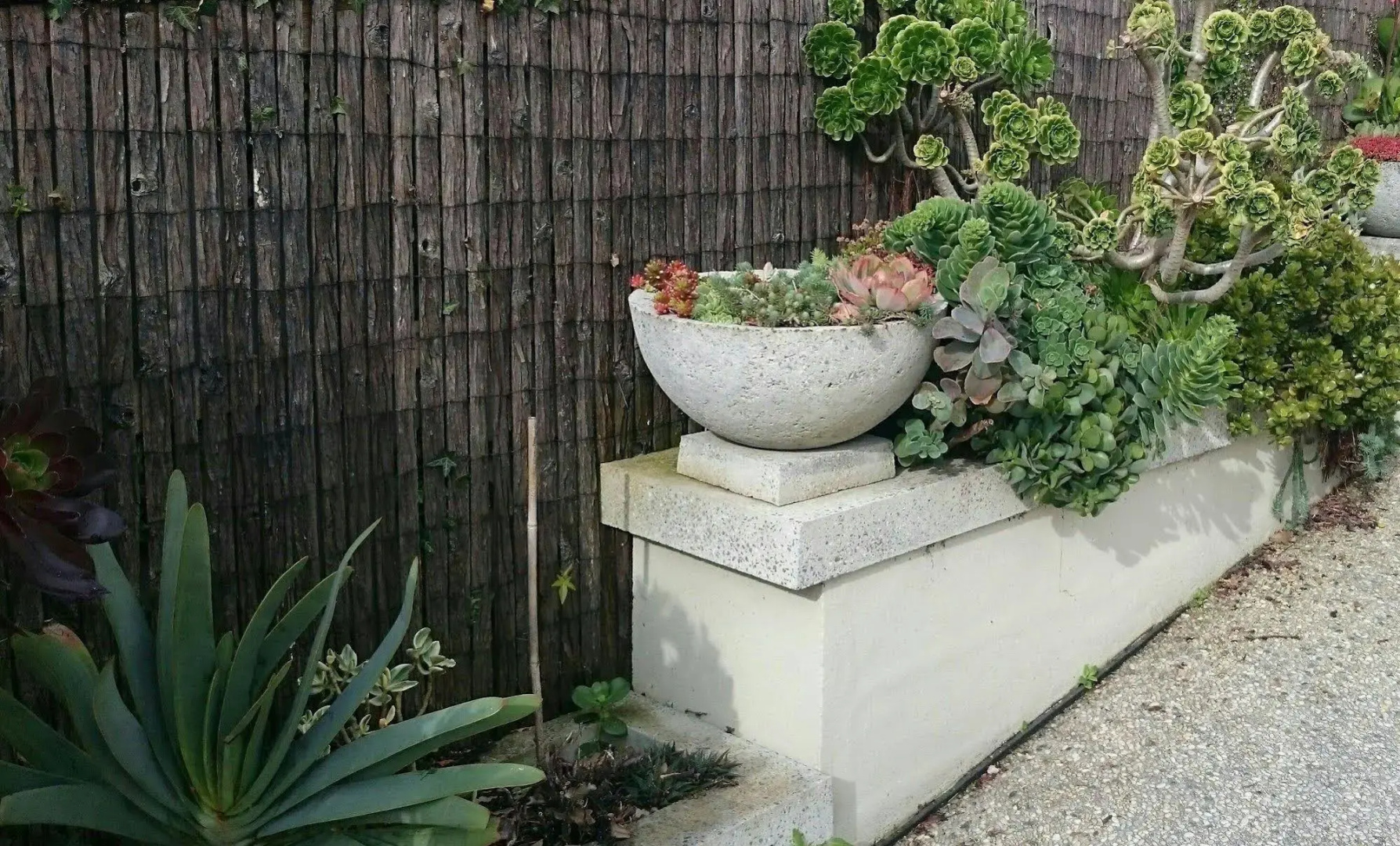 Topiary Haven