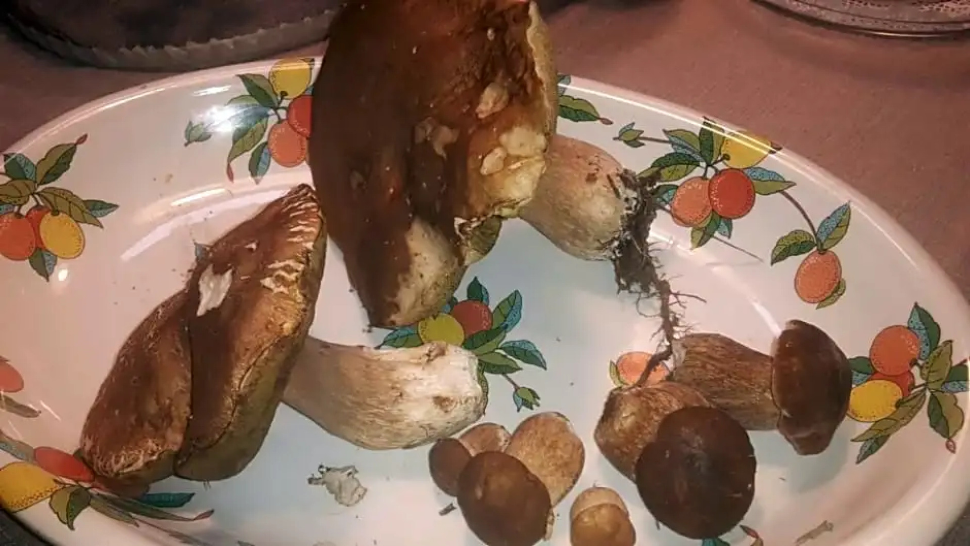 Ca-Jo Bed and Breakfast