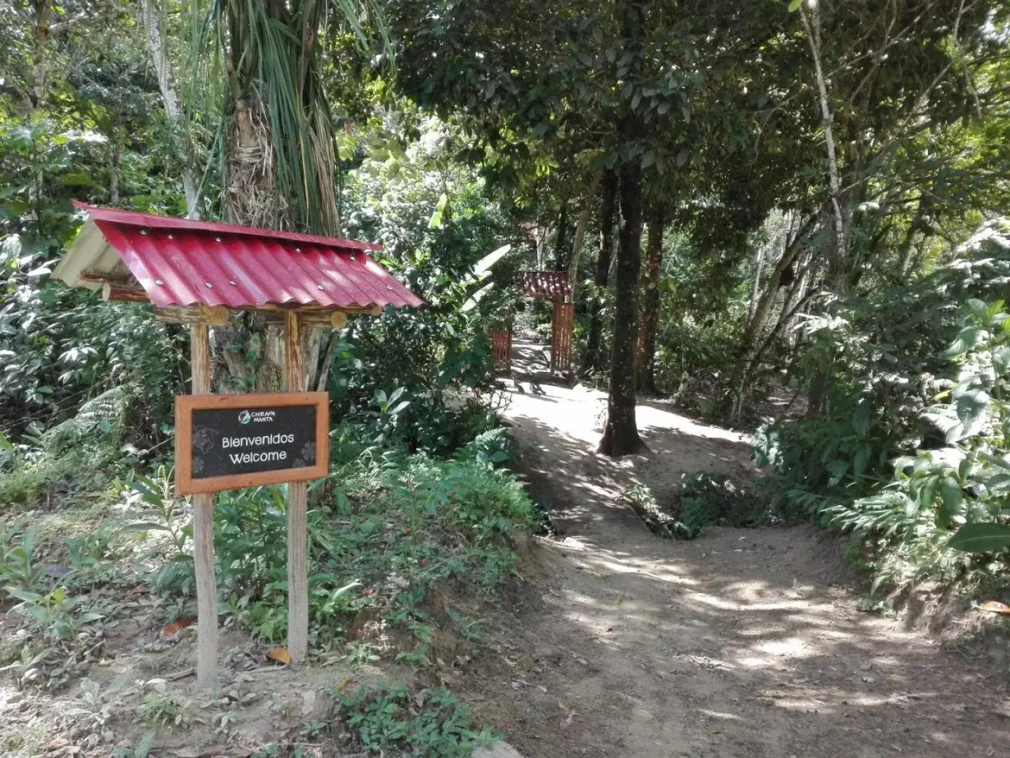 Chirapa Manta Amazon Lodge