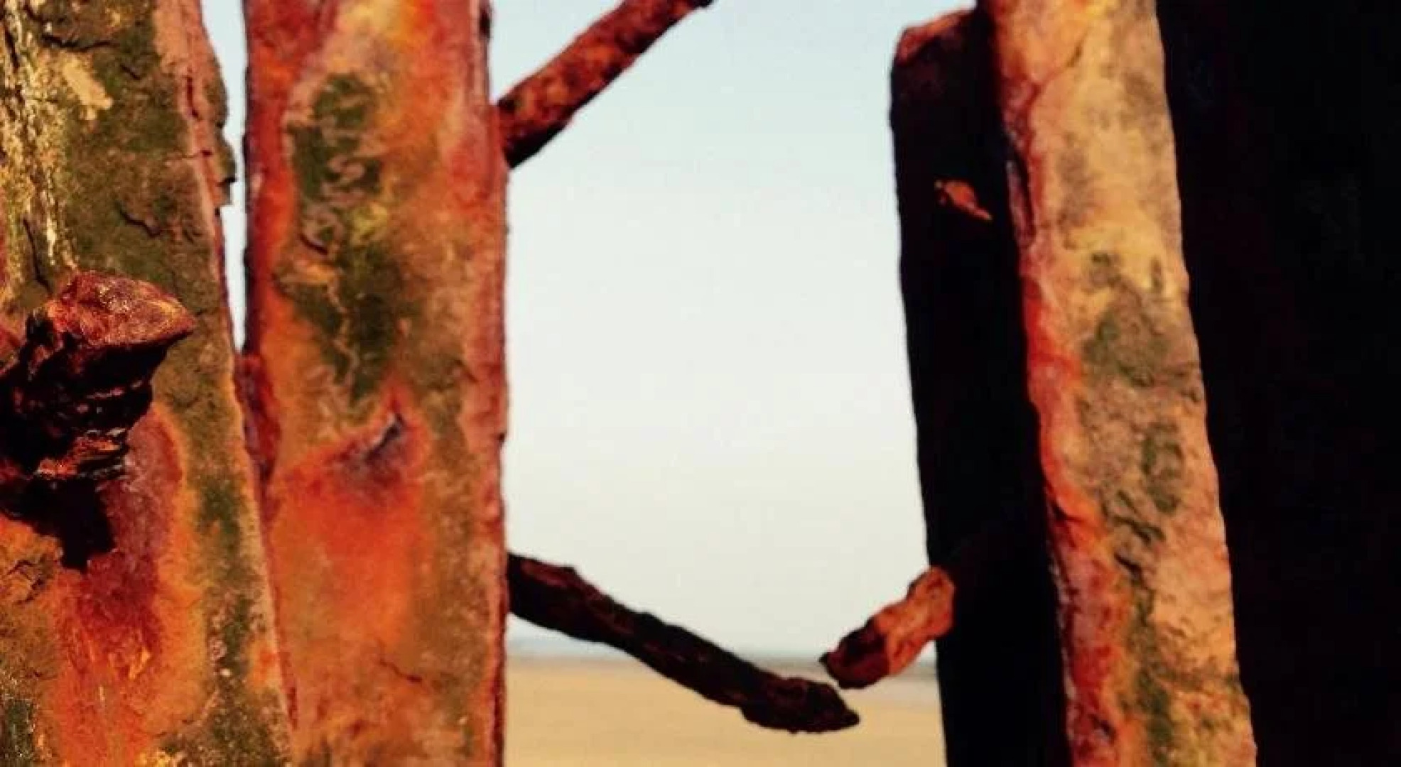 Mulberry Cottage B&B