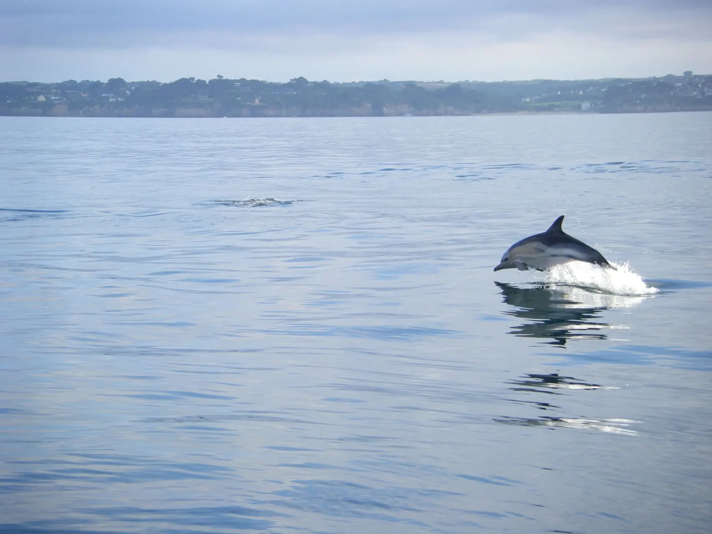 180° panoramic sea view, direct beach location, Locmaria-Plouzané