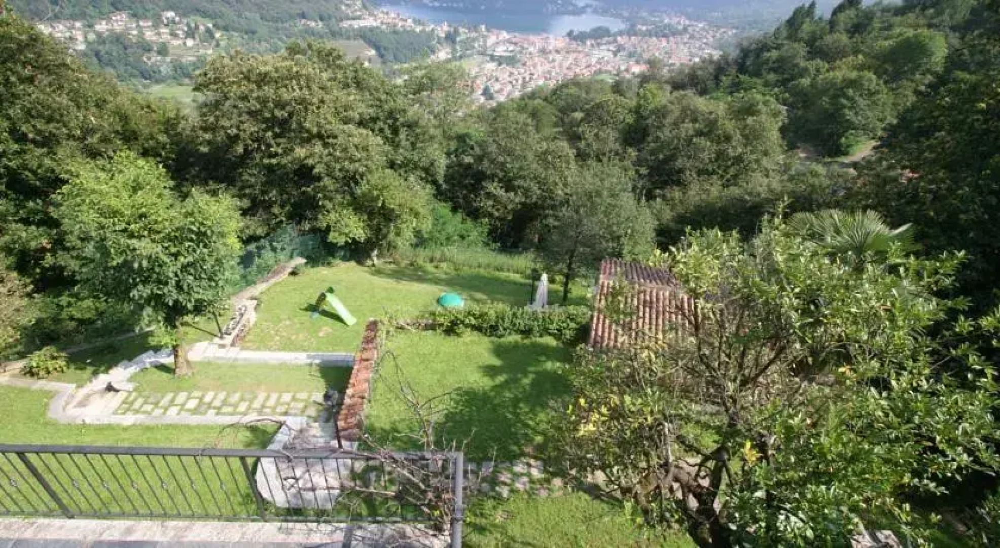 Il Pungi Topo