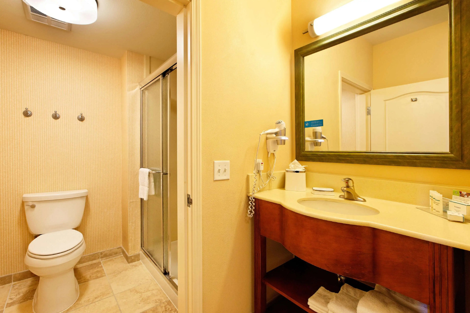 Hampton Inn Montrose