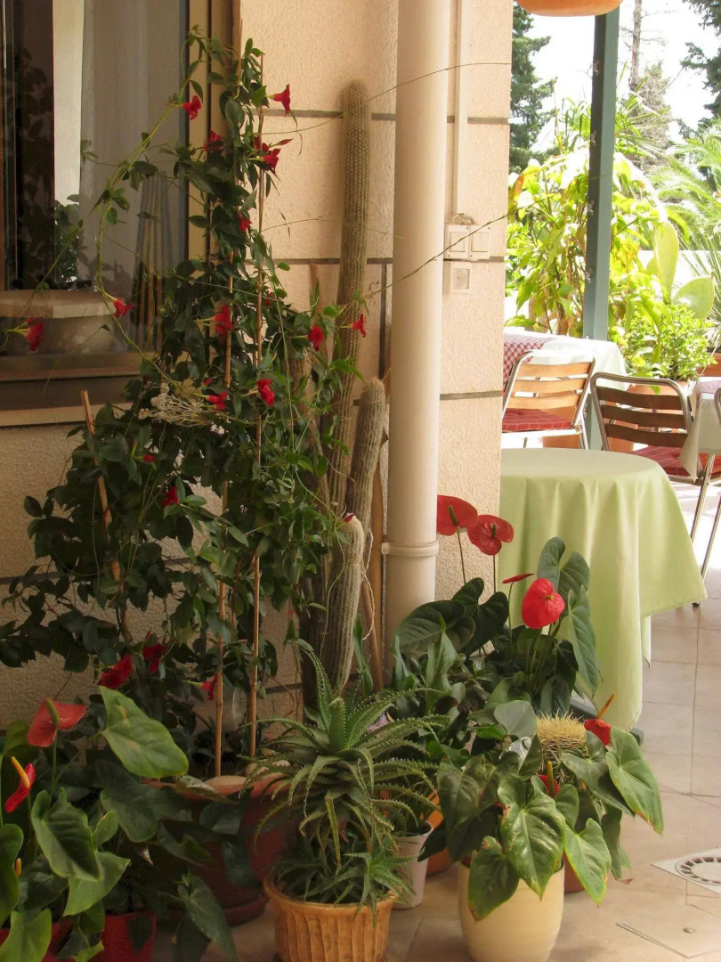 Villa Carmen