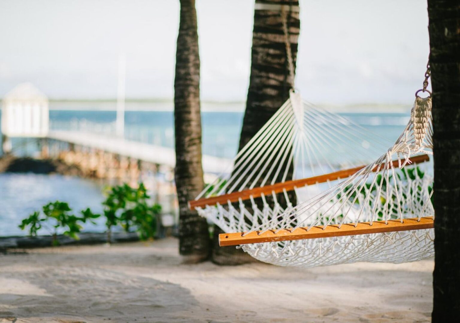 Tropical Attitude - Adults only