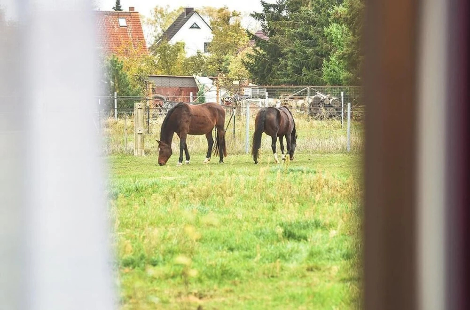 PRIMA Inn HOTEL & HOF NEURUPPIN