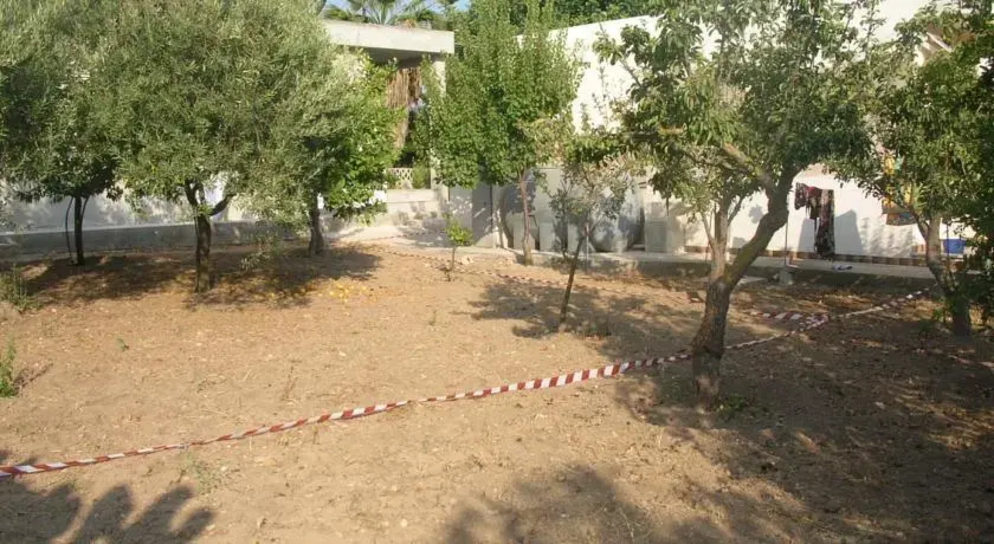 Frescura Tra i Carrubi