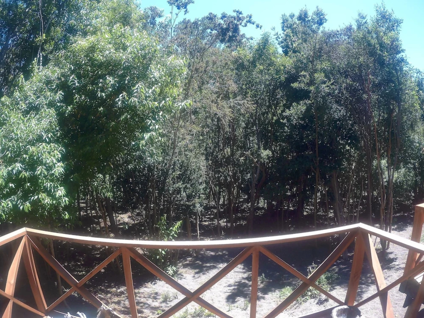 Cabanas Ensenada Bosque Nativo