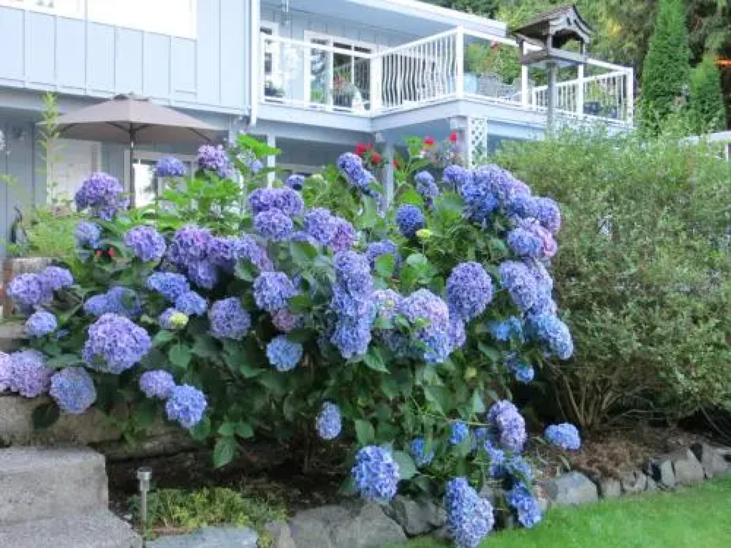 Caprice Bed And Breakfast