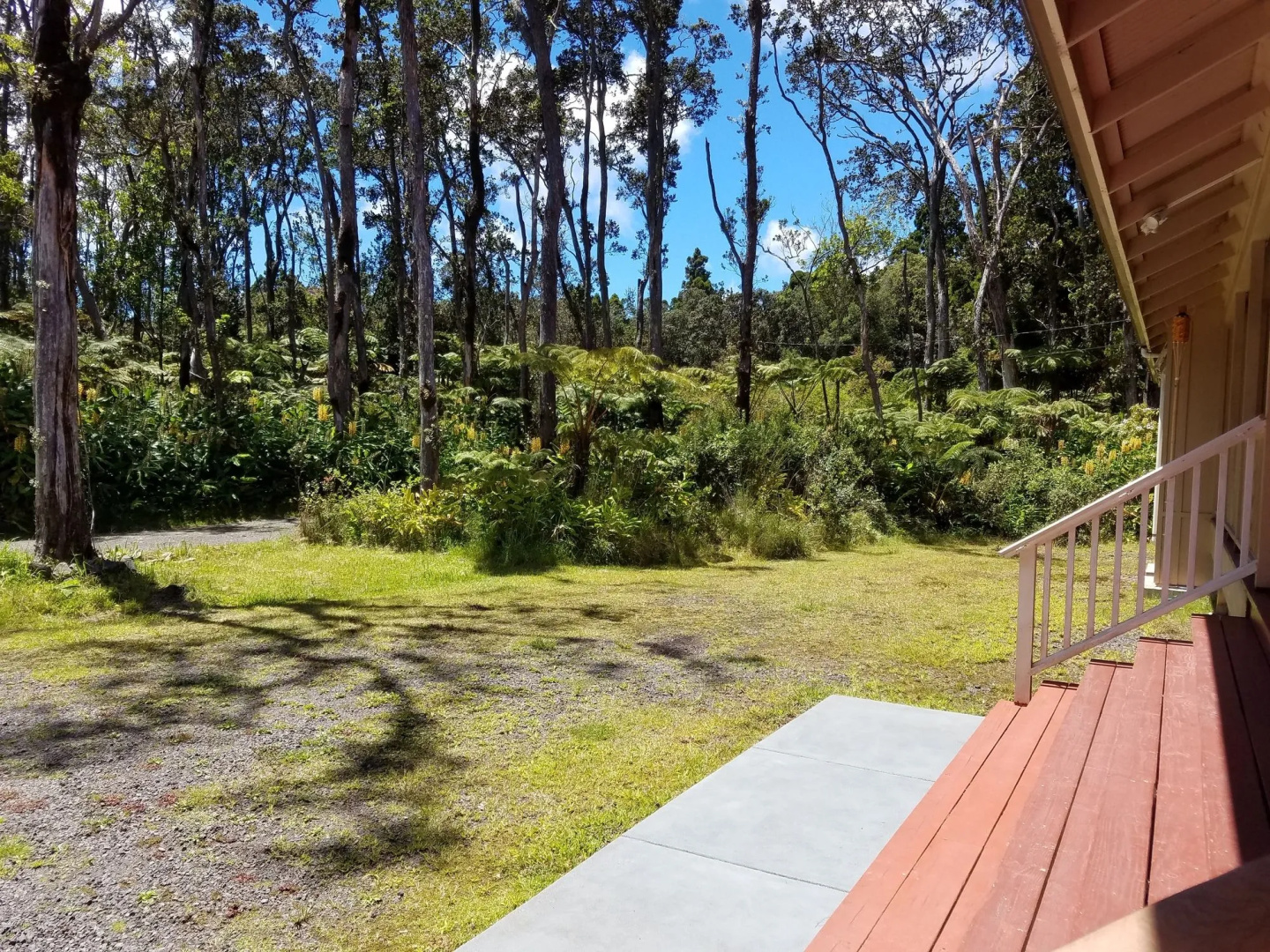 Volcano Forest Inn