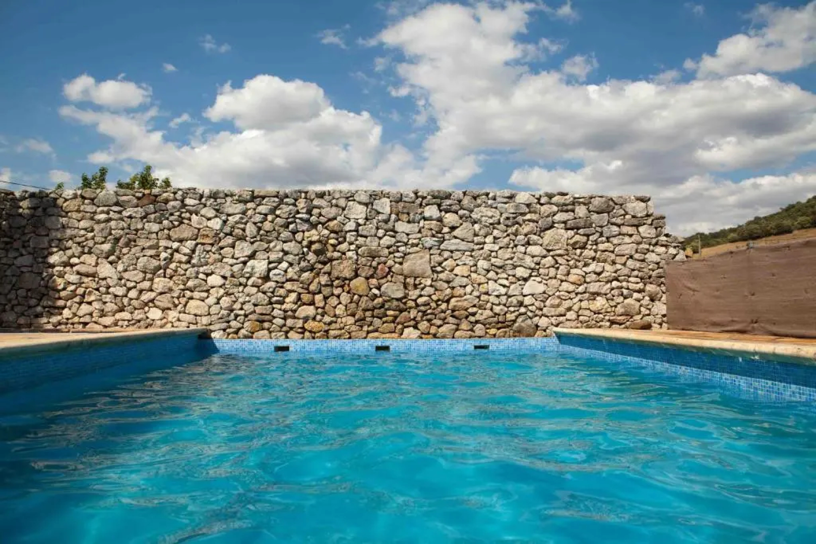 Finca La Rana Verde