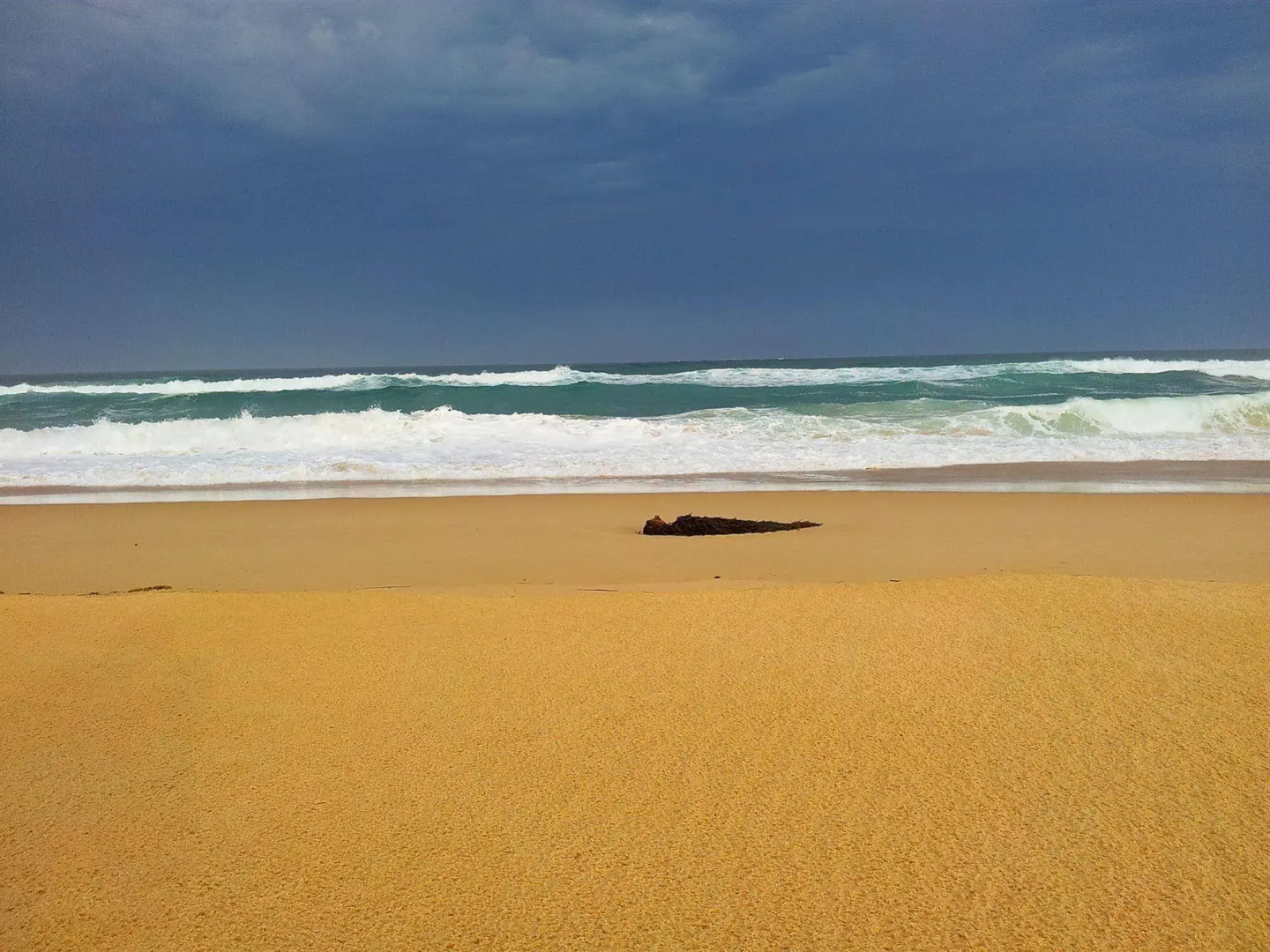 Bellbird Cottage B&B