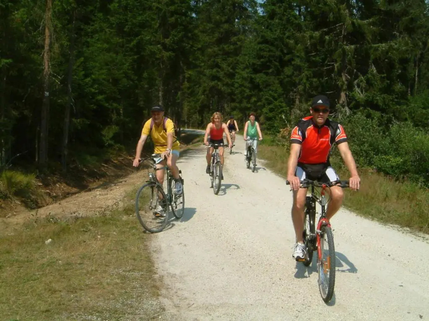 Ferienhaus Mitterdorf