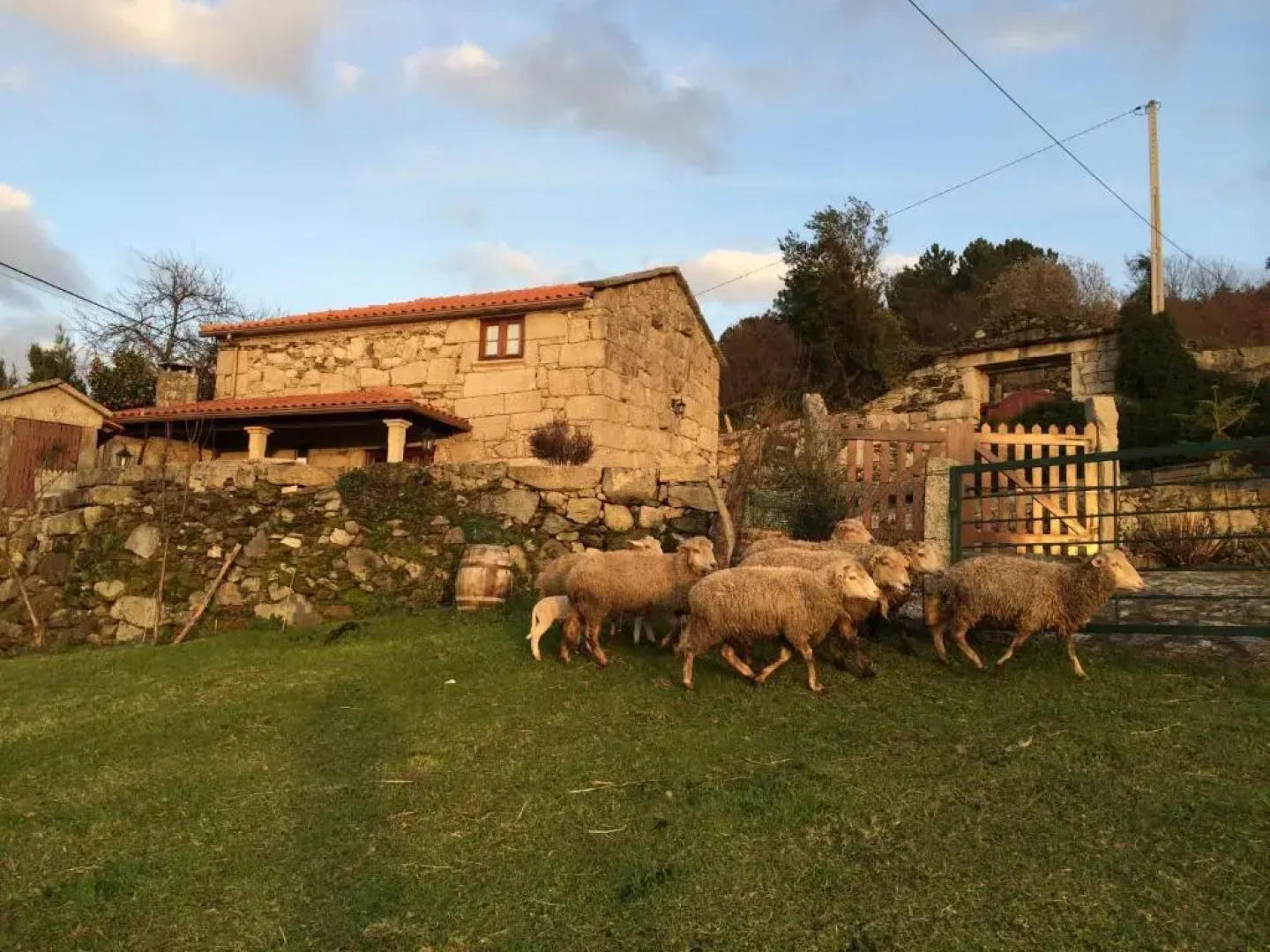 Refugio Dos Cregos