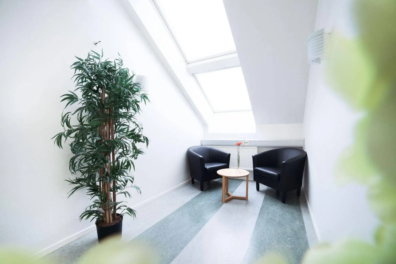 Pronova Hotell & Vandrarhem