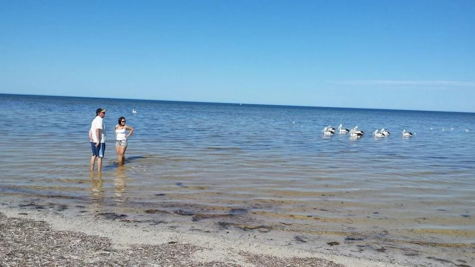 Oyster Court Apartments