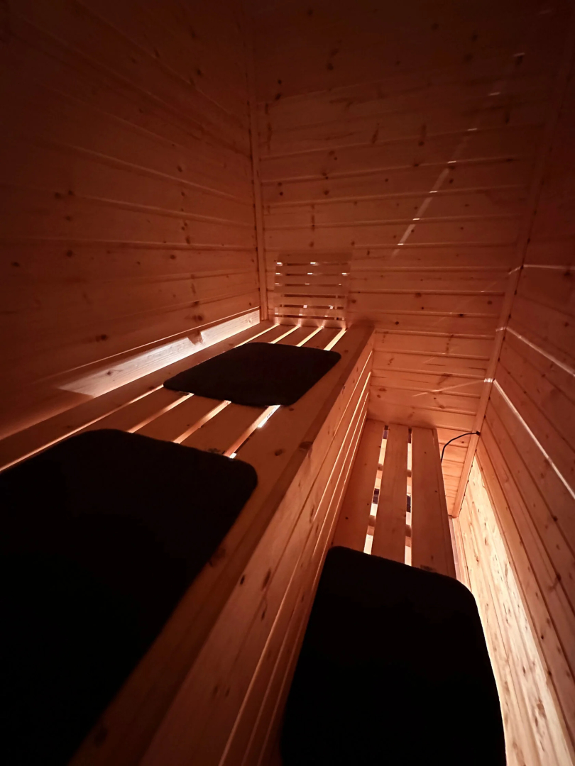 Pine Forest(Хвойный лес)