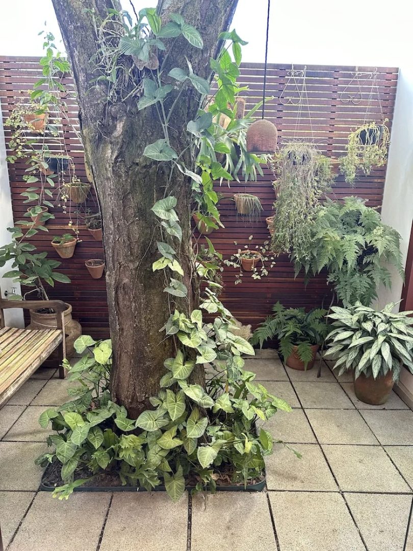 Pousada do Barão