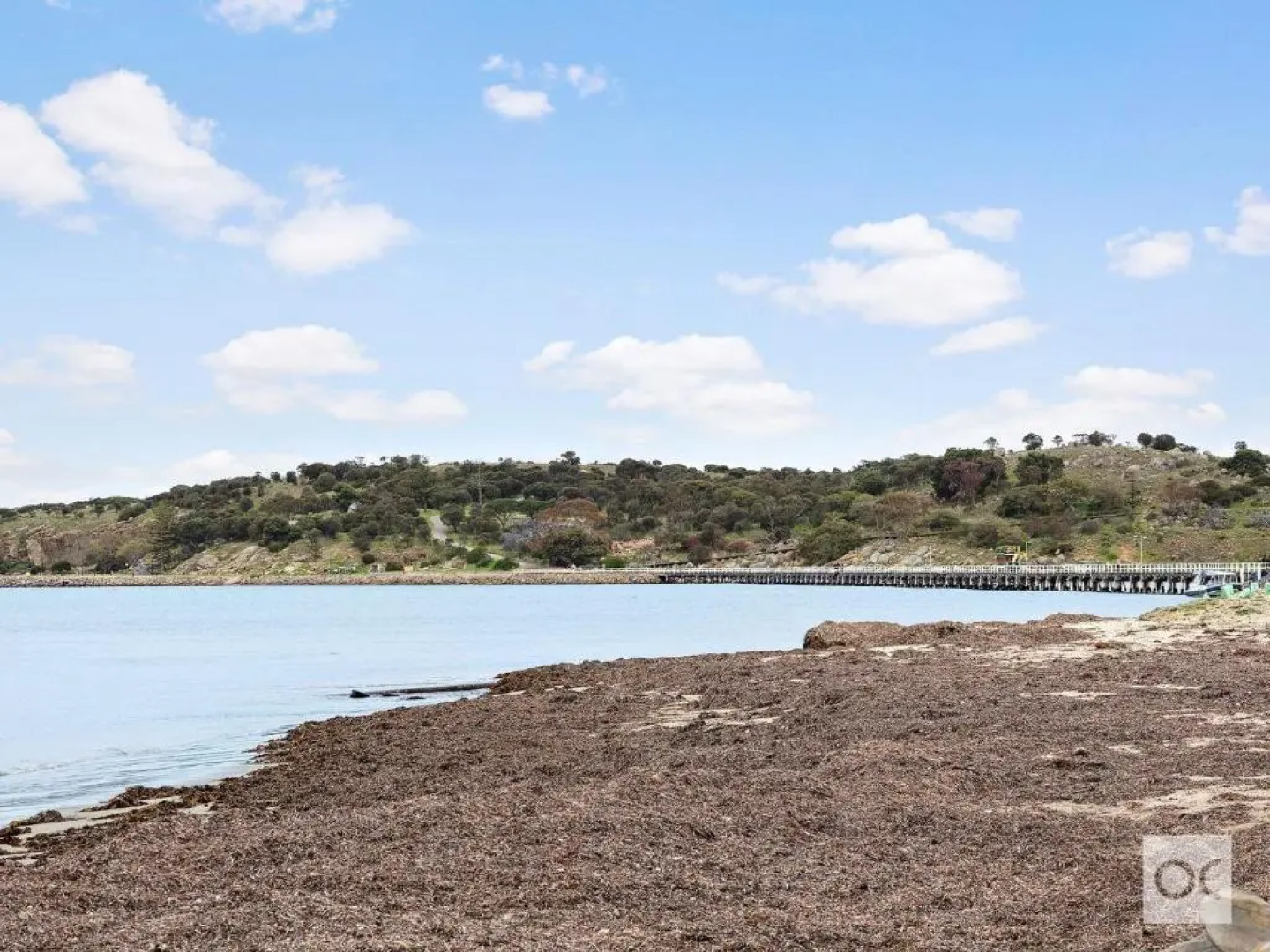 Breeze Beachfront Apartments