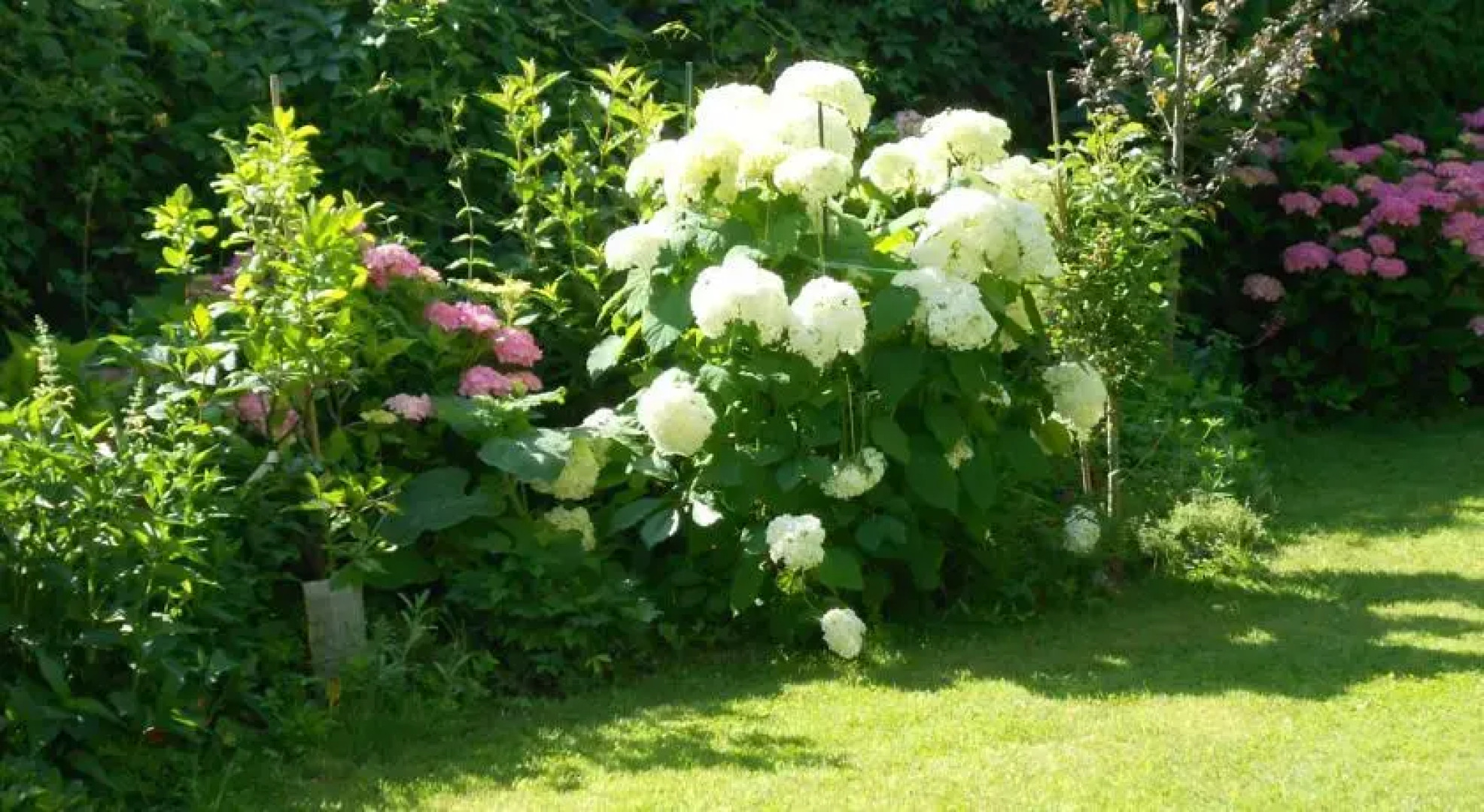 Chambre dHotes Elena