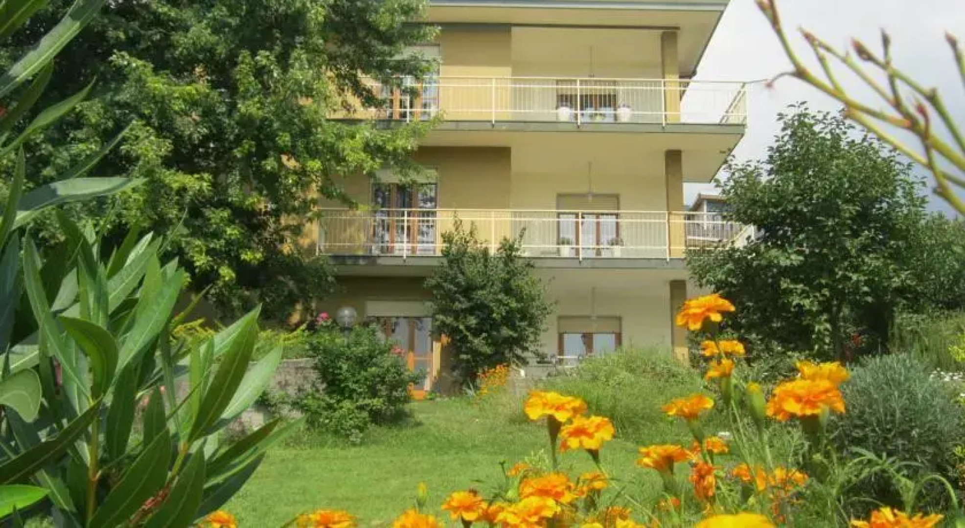 Fiori e Frutti