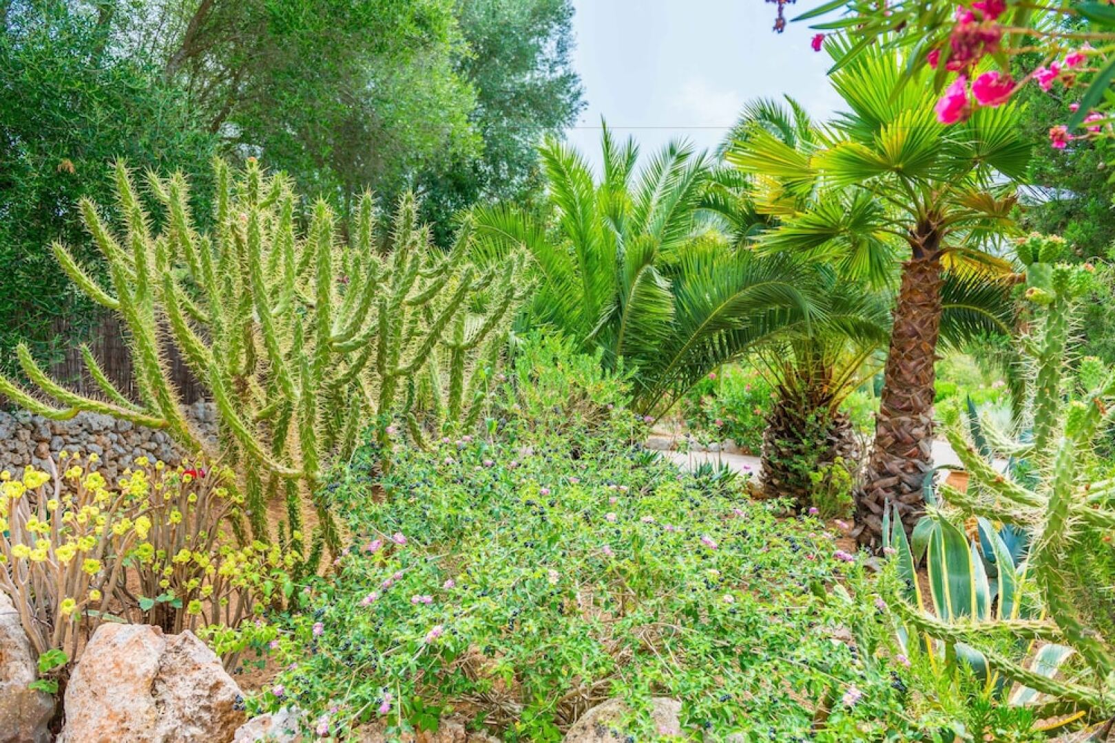 Can Pina (Eco Redonda 1)