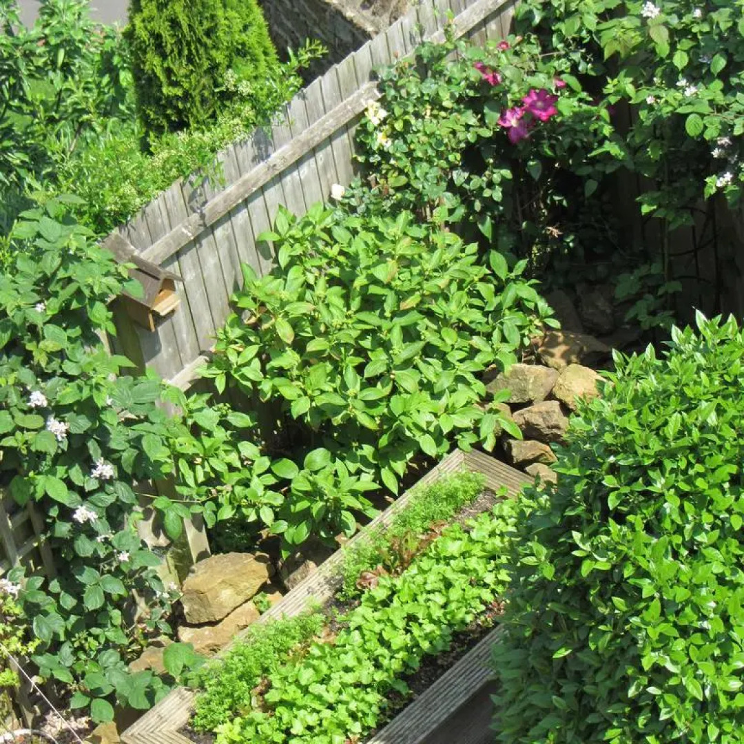 Treetops Guest House