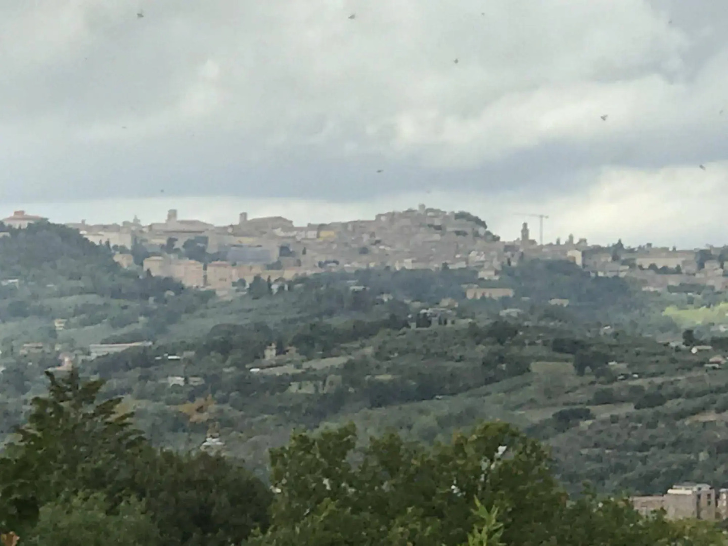 La Collina dei Ciliegi