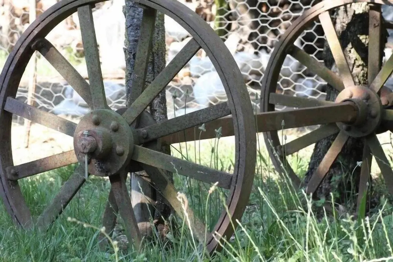 Cluana Azienda Agrituristica