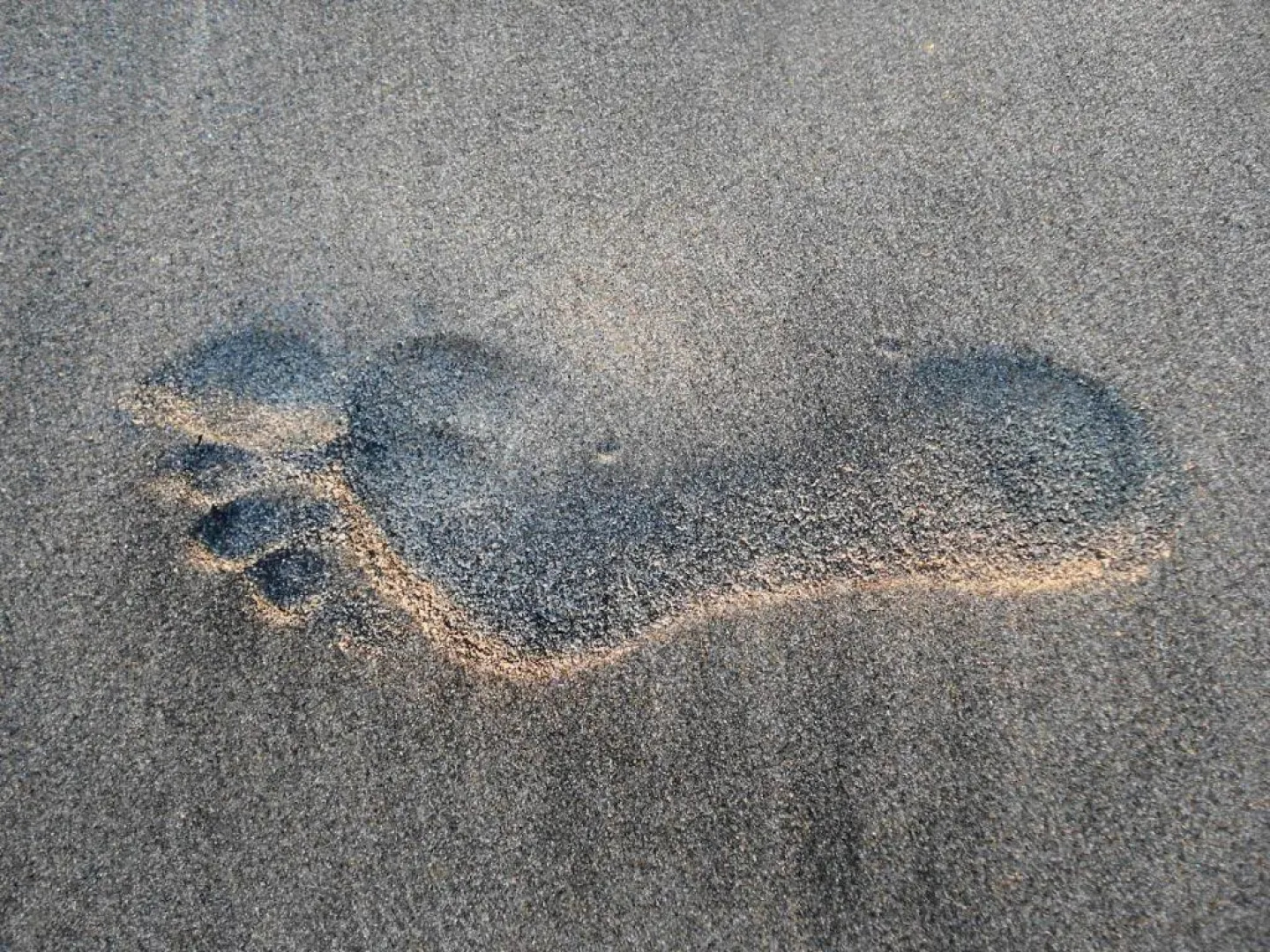 True BEACHFRONT cozy - 1 Bedroom Apt