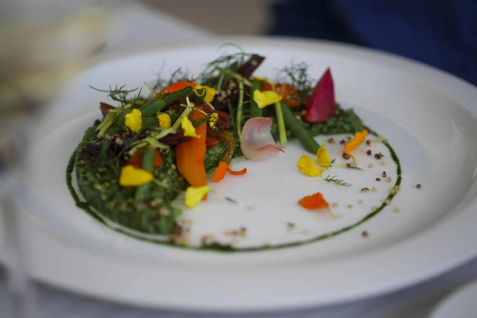 Coquillade Provence - Relais & Chateaux