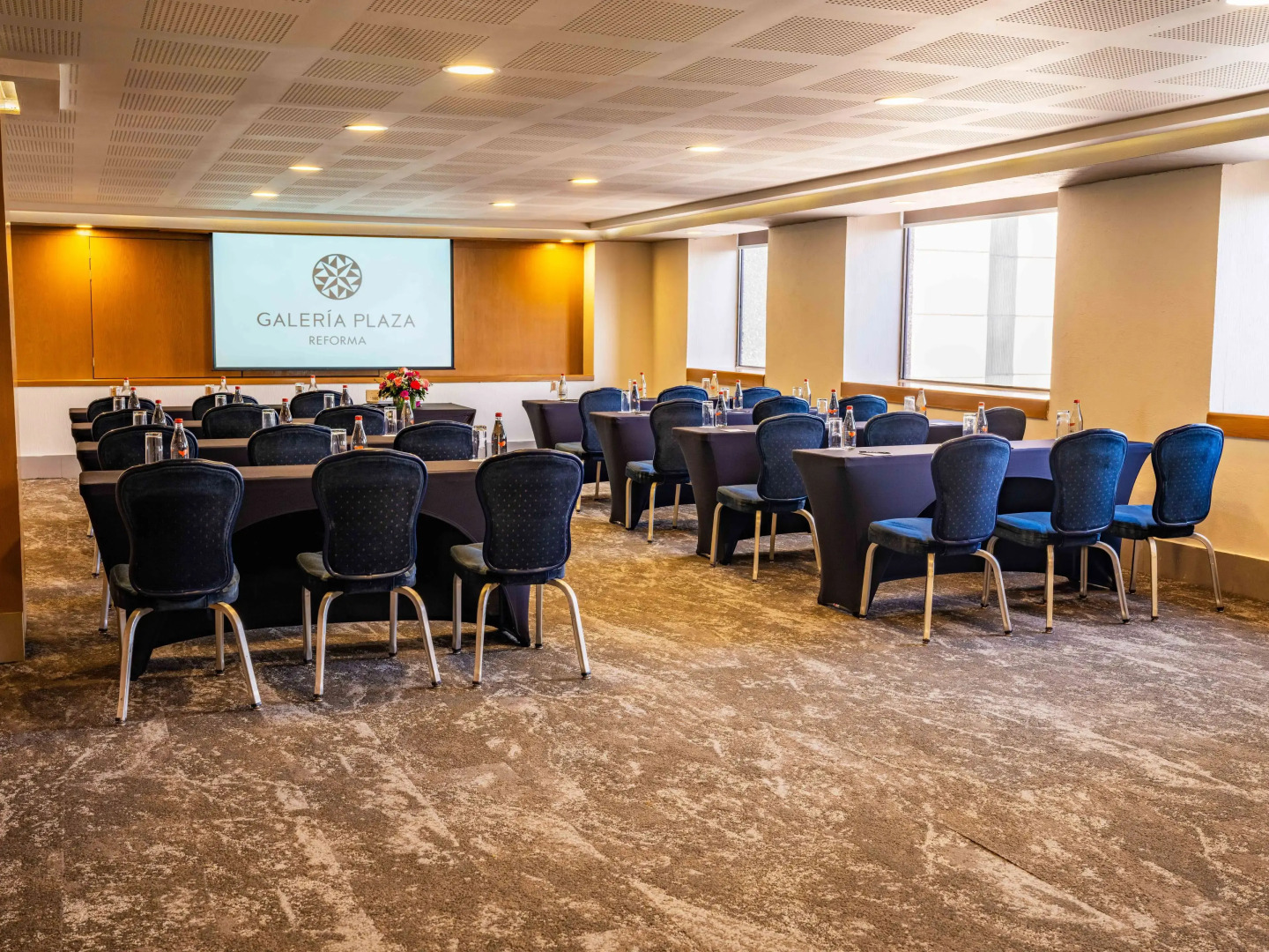 Galeria Plaza Reforma