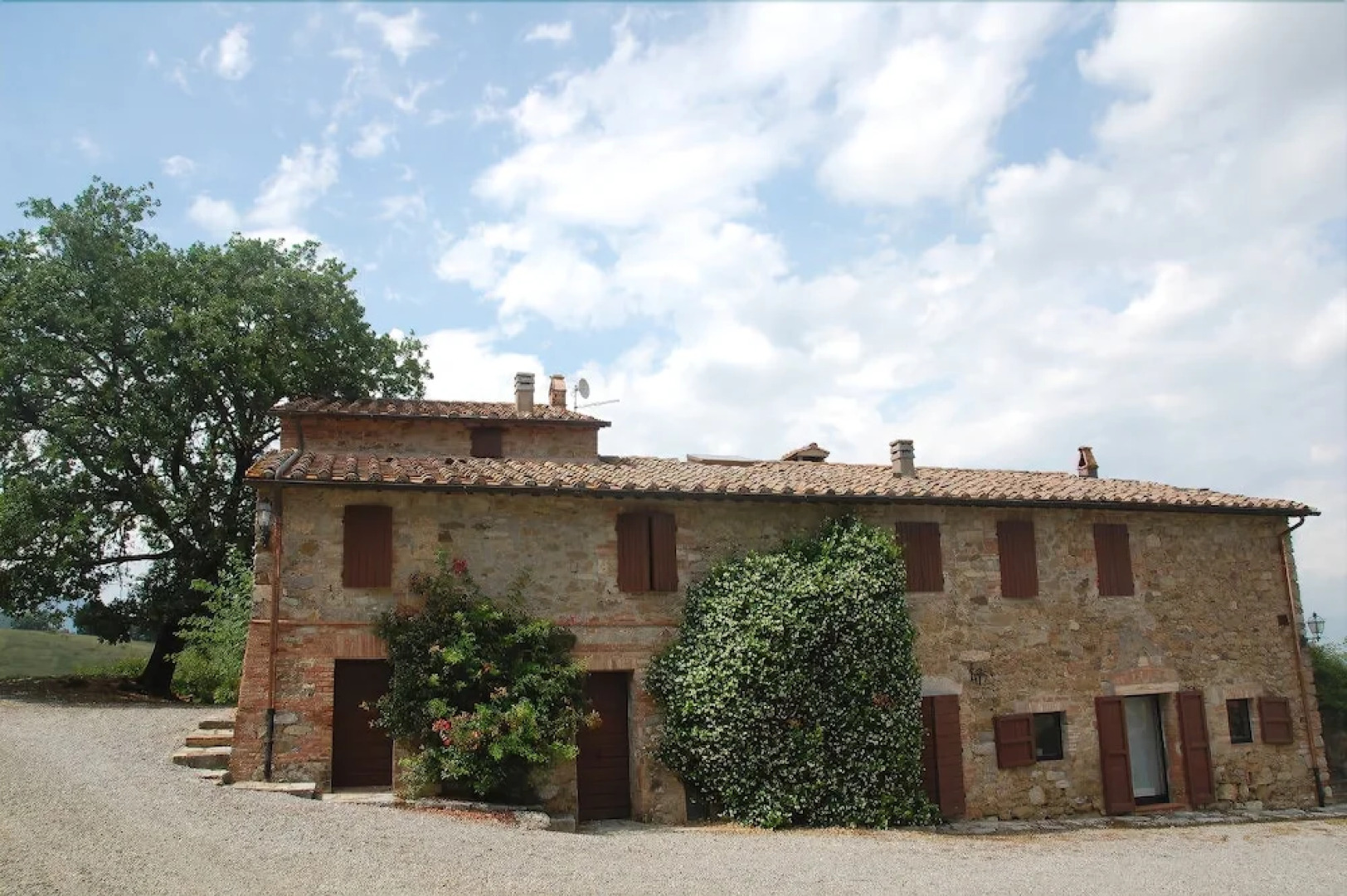 Verdidea - LA FICAIA