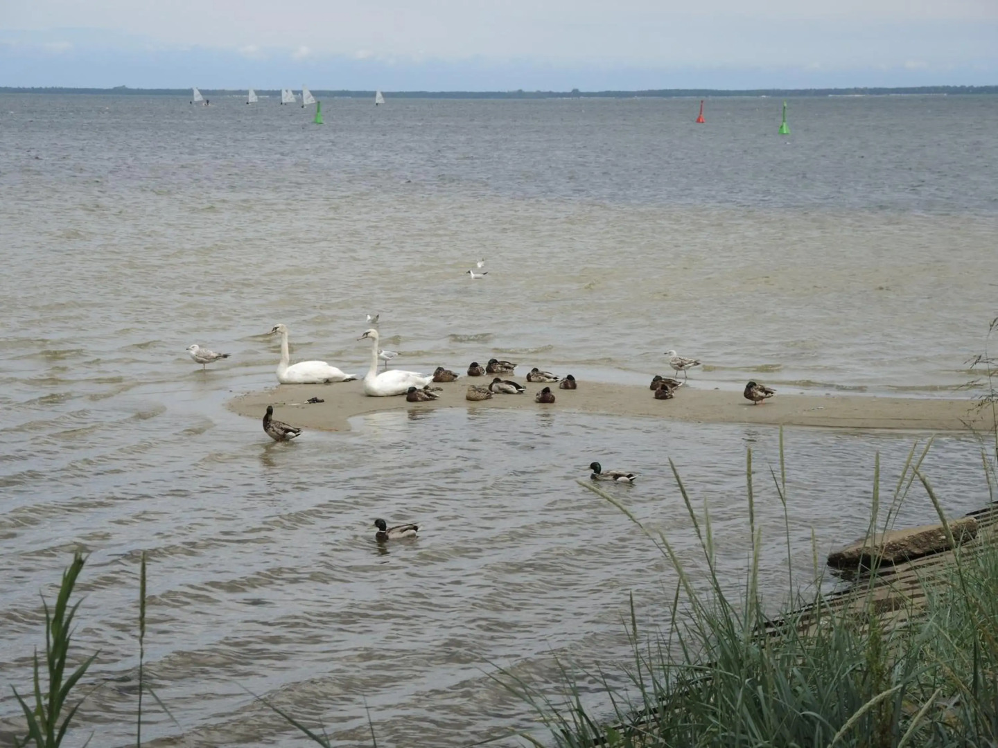 Apartament Babitonga I