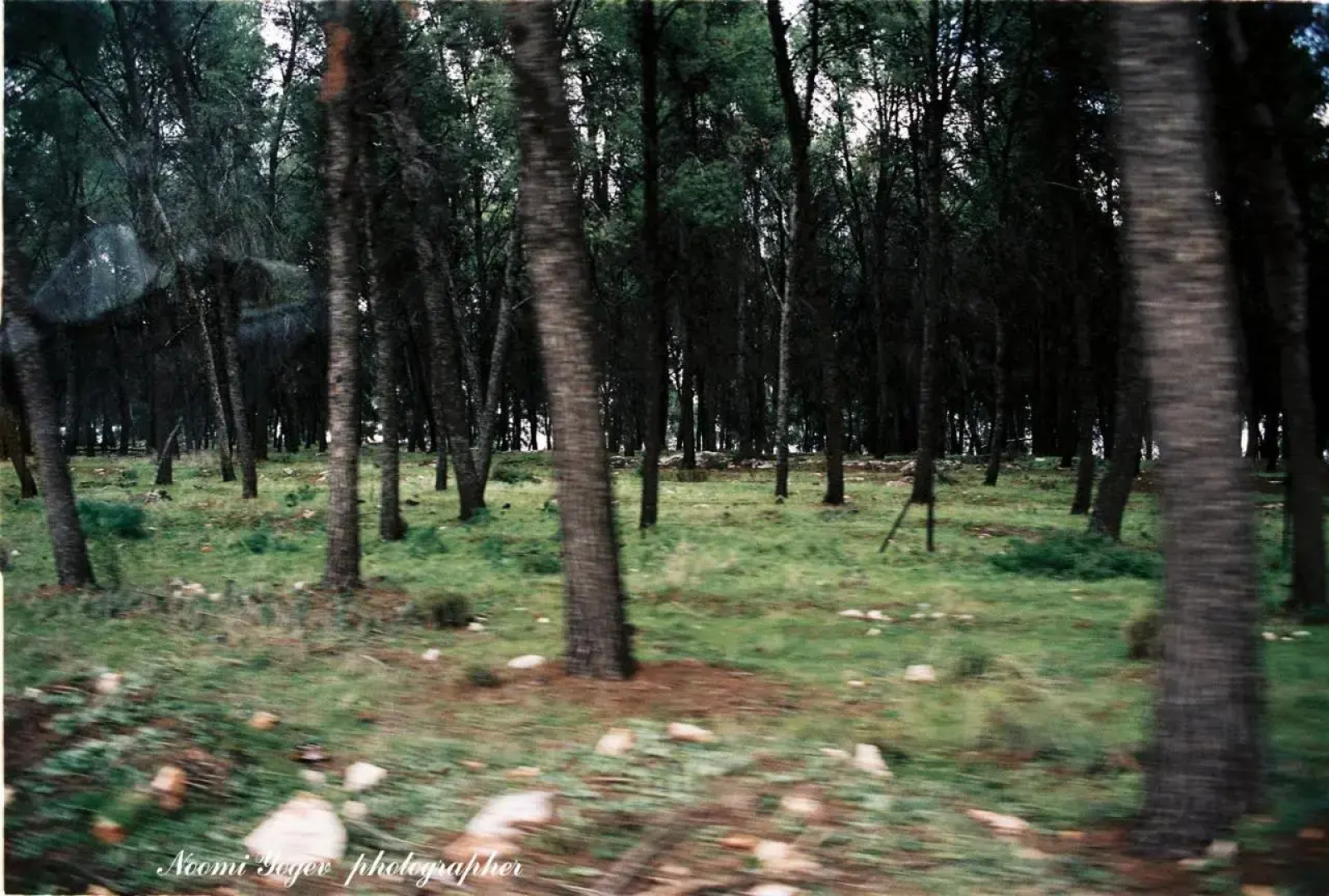 Bayit Bagalil Boutique Hotel by Herbert Samuel