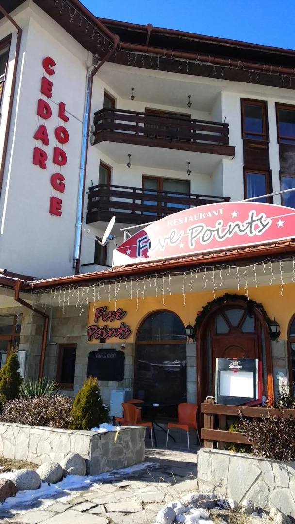 Pine Tree Apartment D34