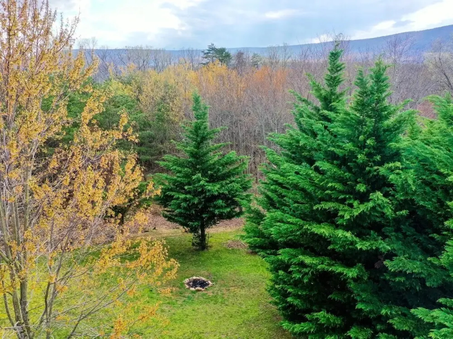 Cacapon Connected - Workplace Retreat