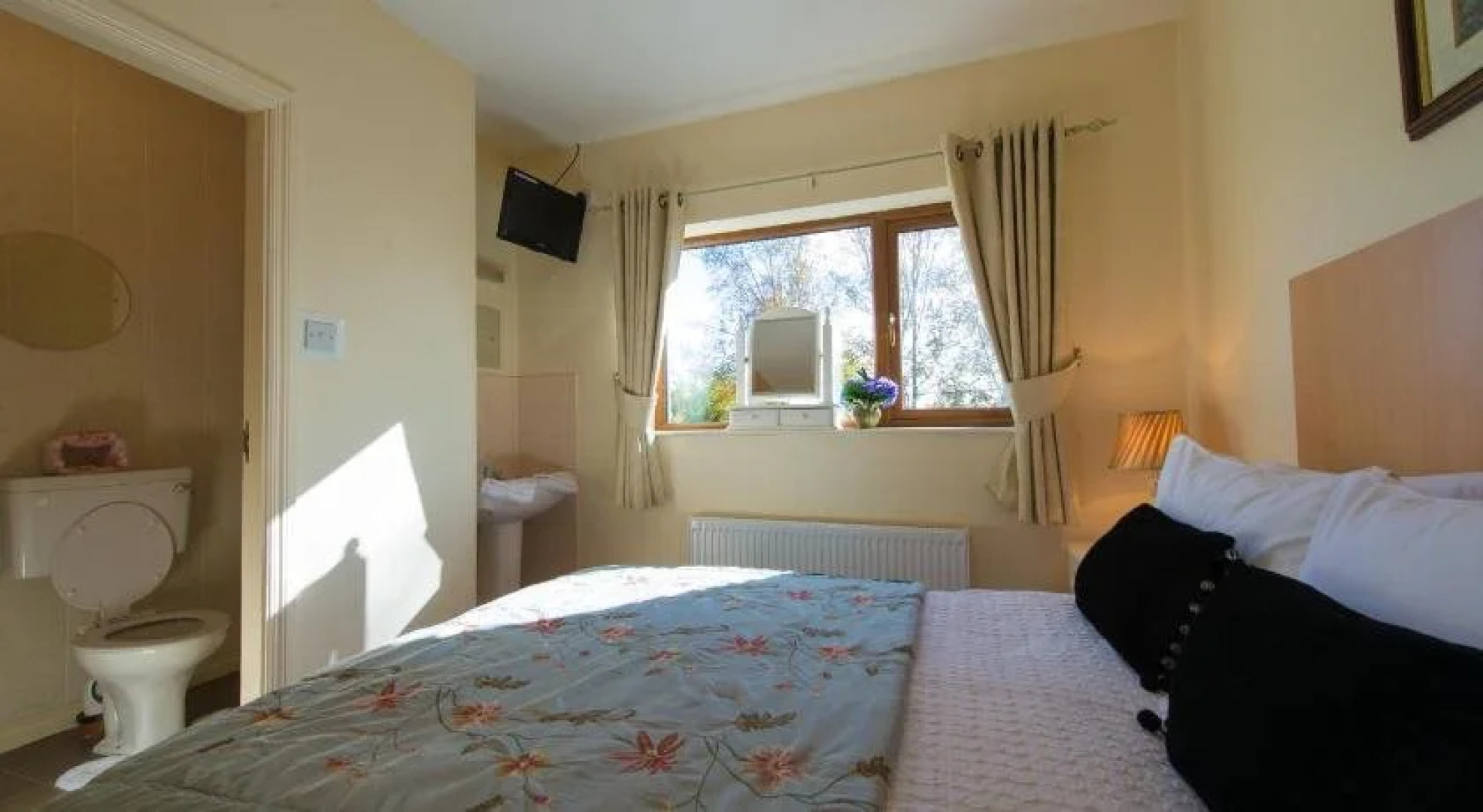 The Cuddly Cow Cosy Barn Studio Campview Farm Stay