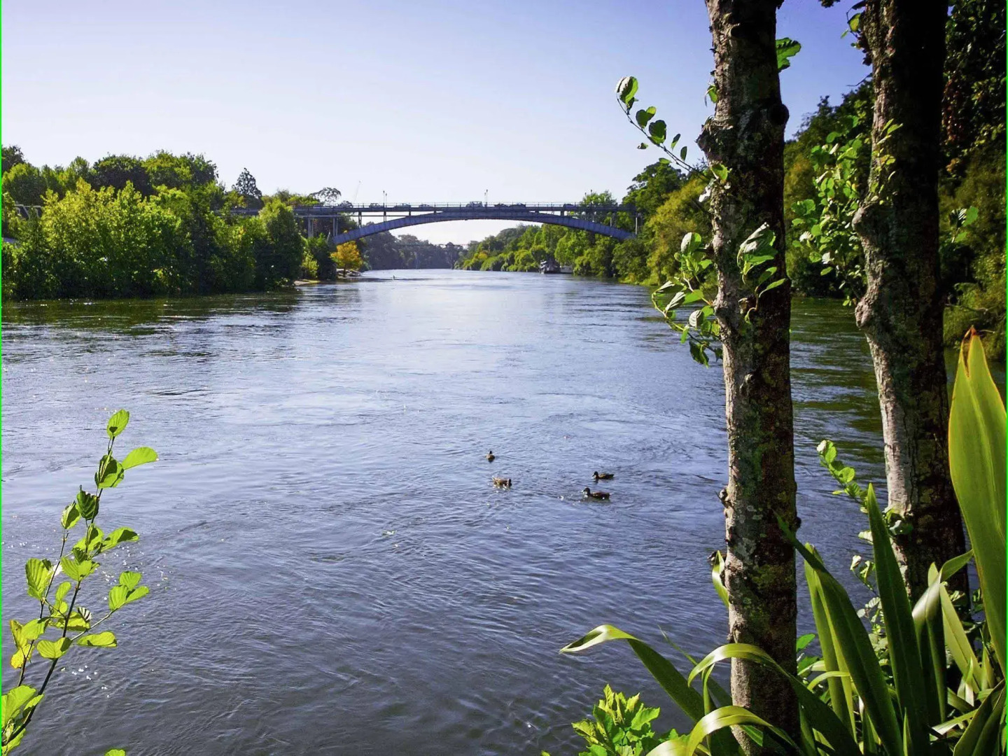 Novotel Tainui Hamilton