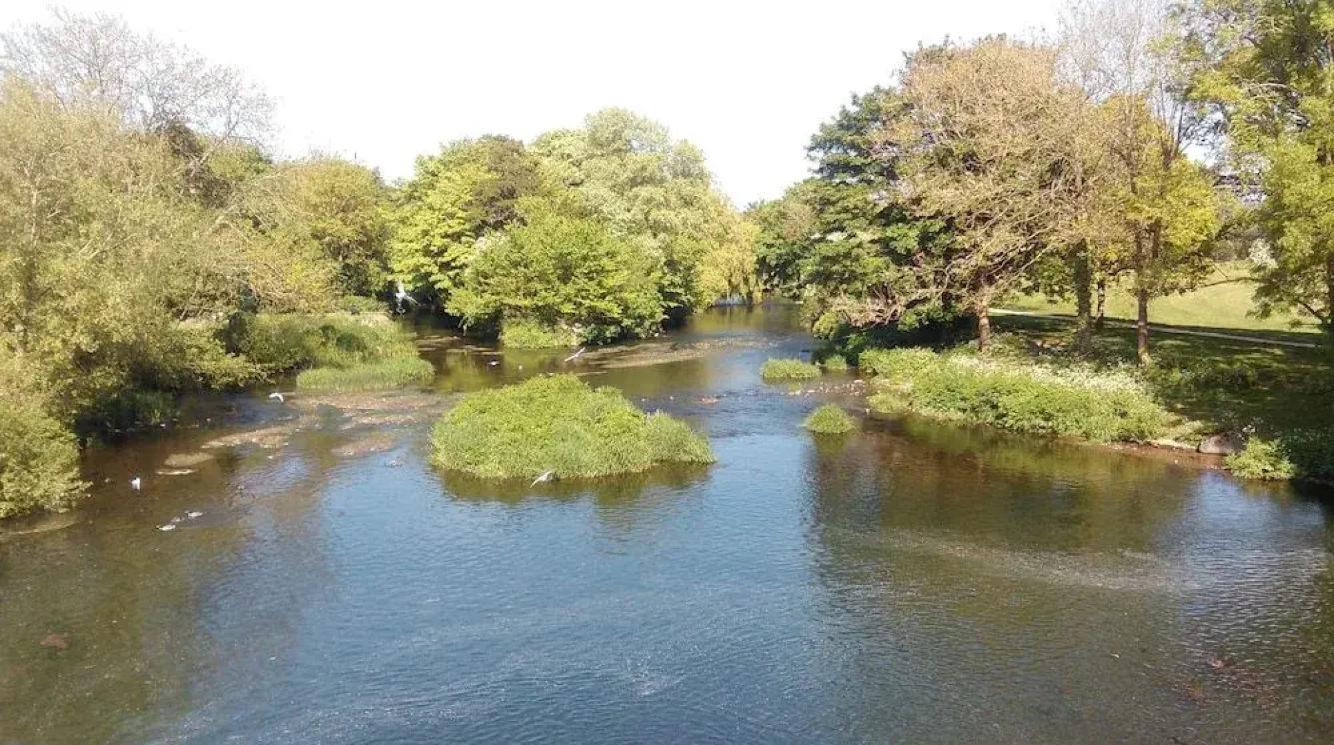 The Kings Arms Hotel