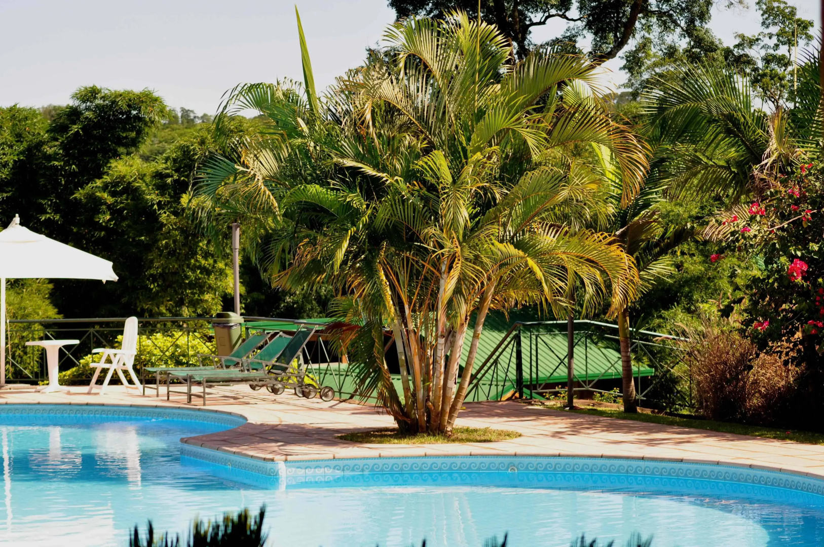Iguazú Jungle Lodge