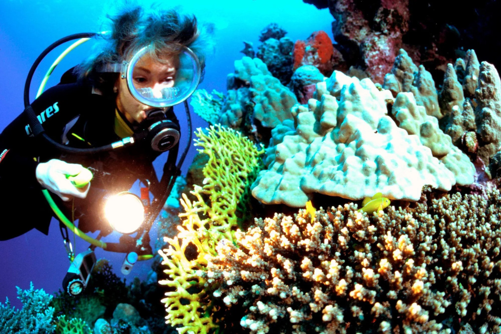 Mövenpick Resort & Spa Jimbaran Bali