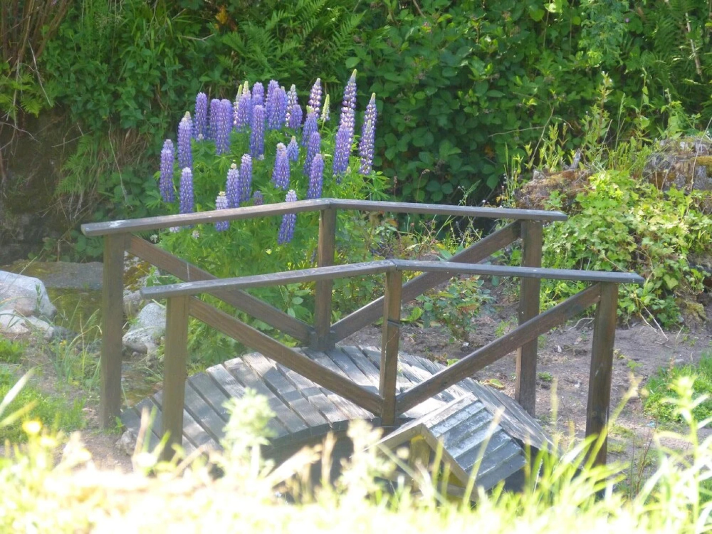 Apartment With One Bedroom In Cornimont With Wonderful Lake View And Furnished Garden