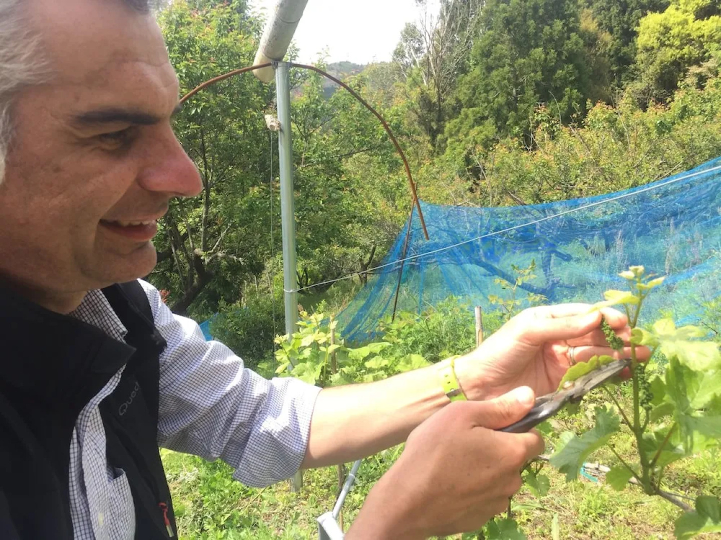 Kumano Kodo Winery Guest House