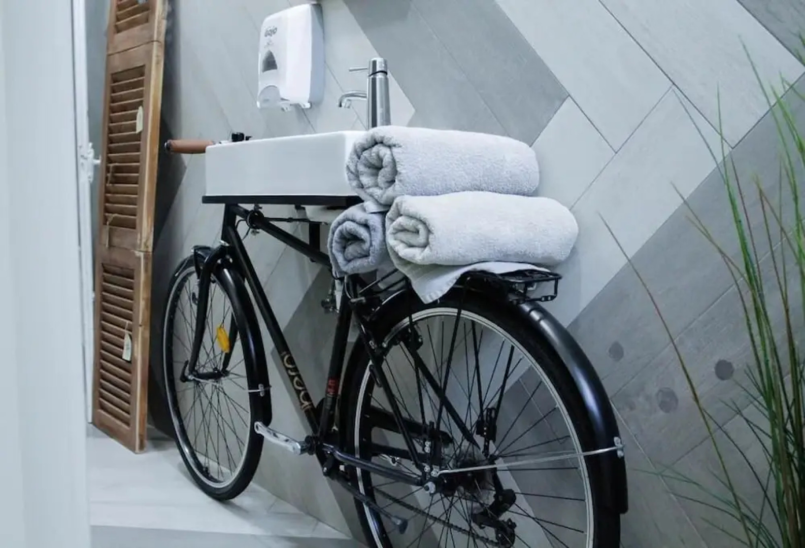 Procyon Boutique & Suites