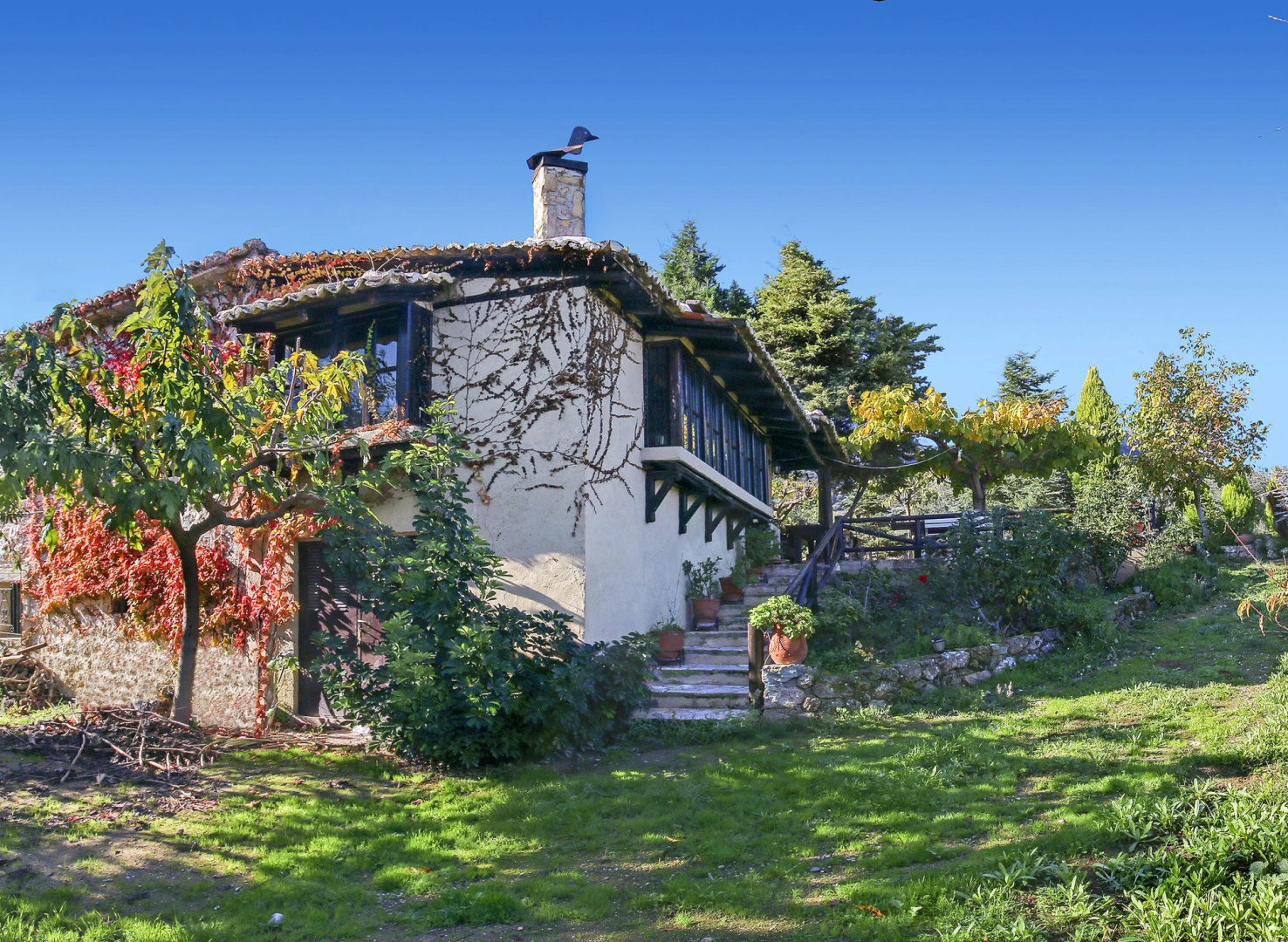 Ampelos Estate - The Studio