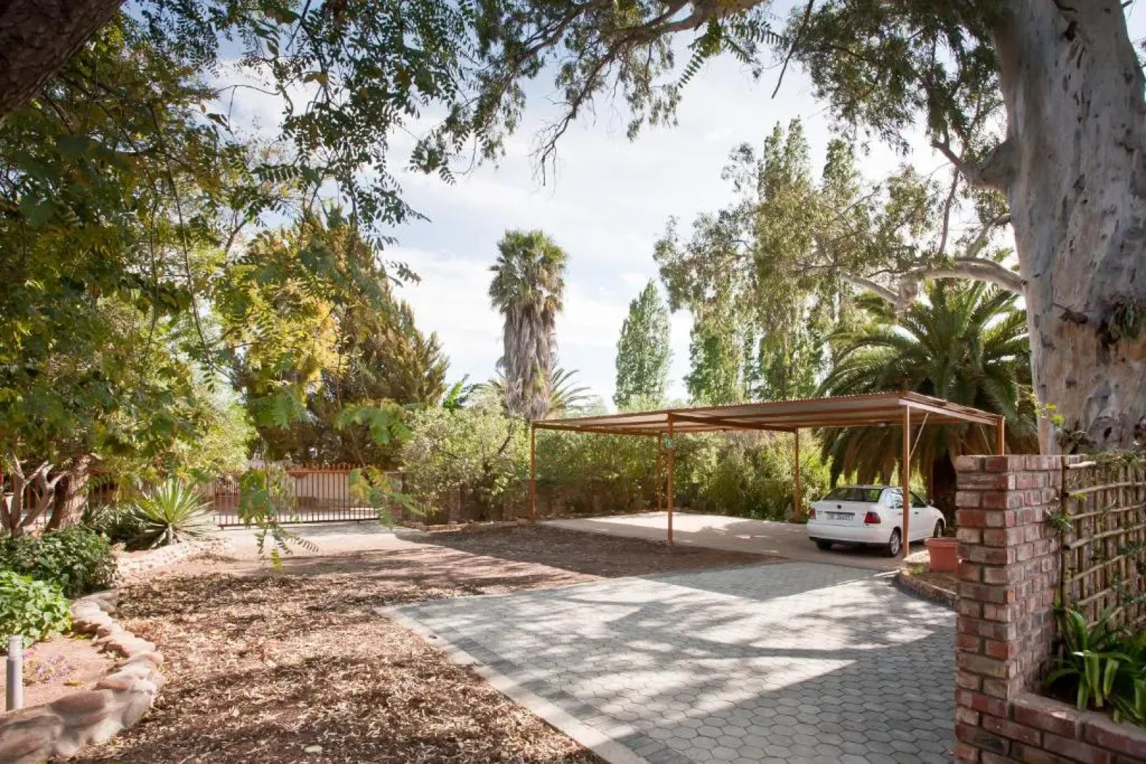 The Queen of Calitzdorp